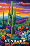 Saguaro