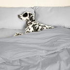 Sateen Dream™ Duvet Cover