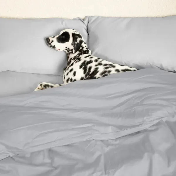 Sateen Dream™ Duvet Cover