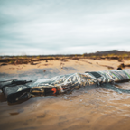 Waterproof Floating Shotgun Bag - Shadow Grass Habitat
