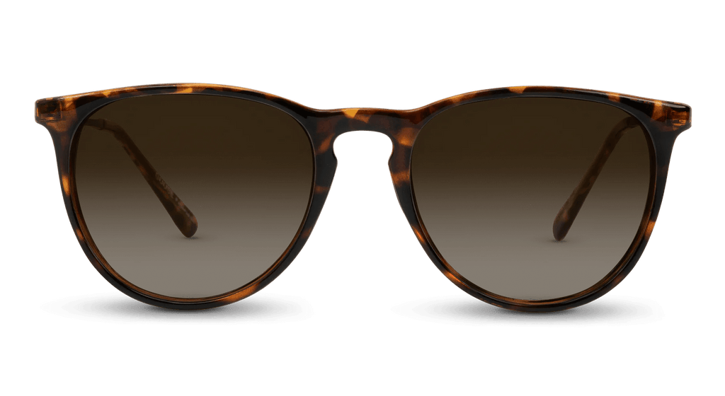 Shockoe Sunglasses