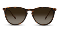 Shockoe Sunglasses