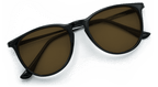 Shockoe Sunglasses