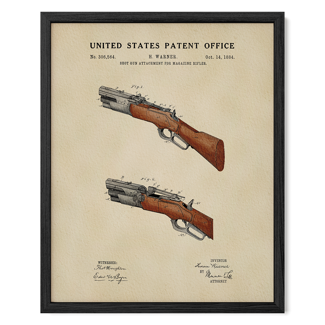 Shotgun (1884)