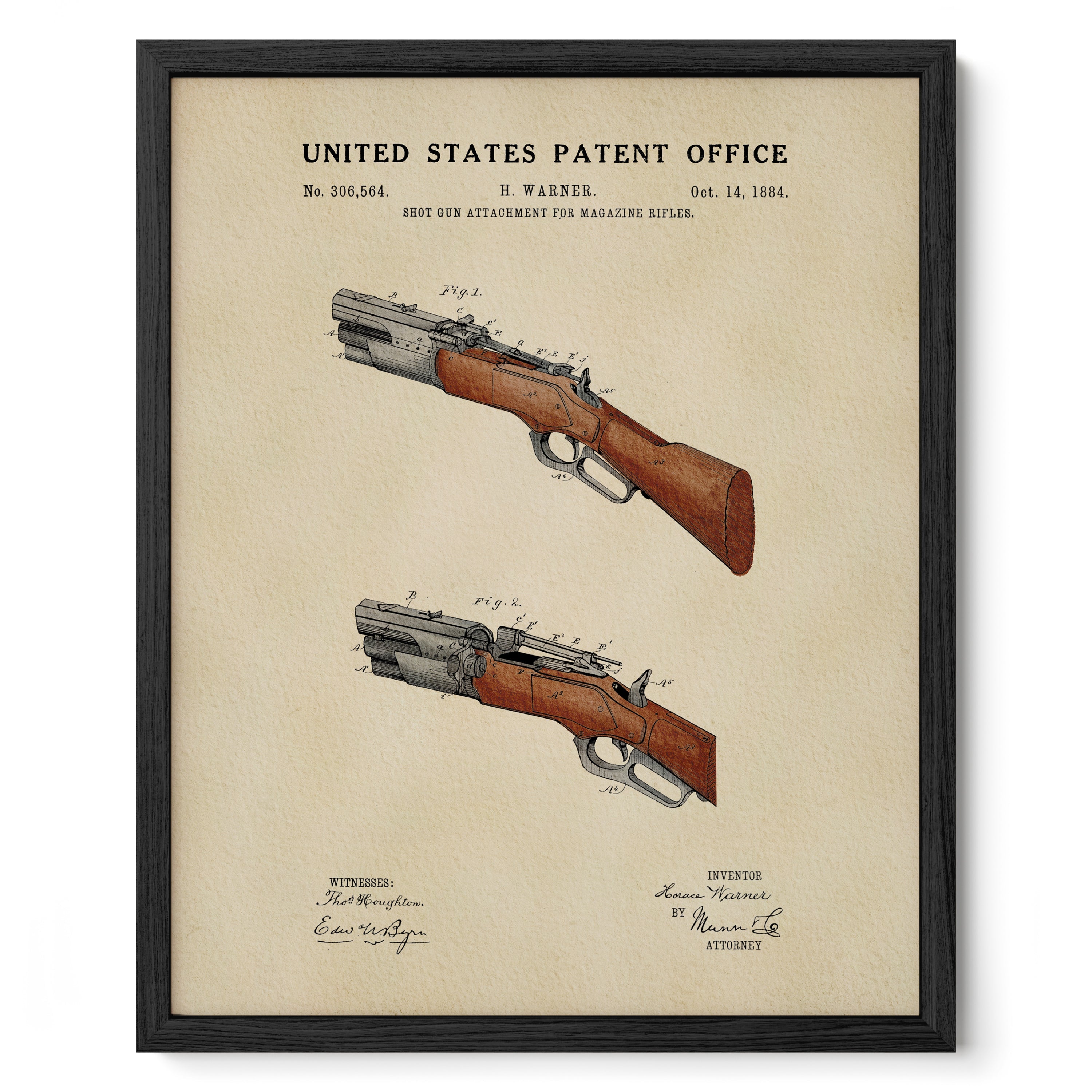 Shotgun (1884)