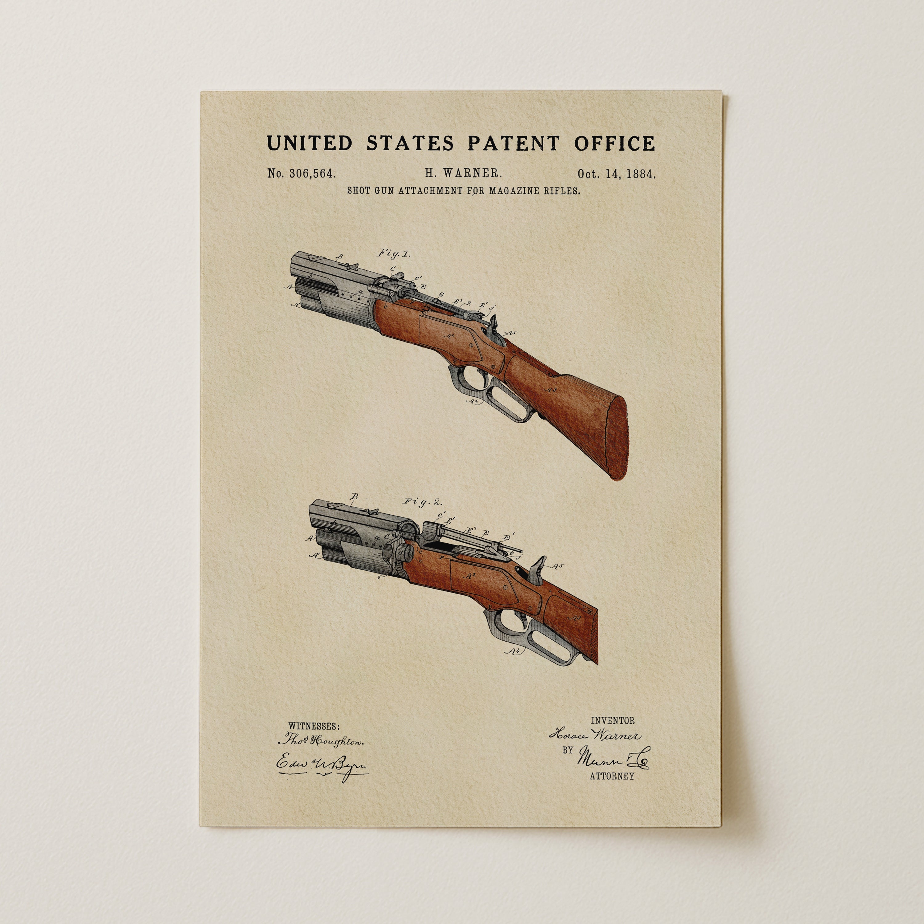 Shotgun (1884)