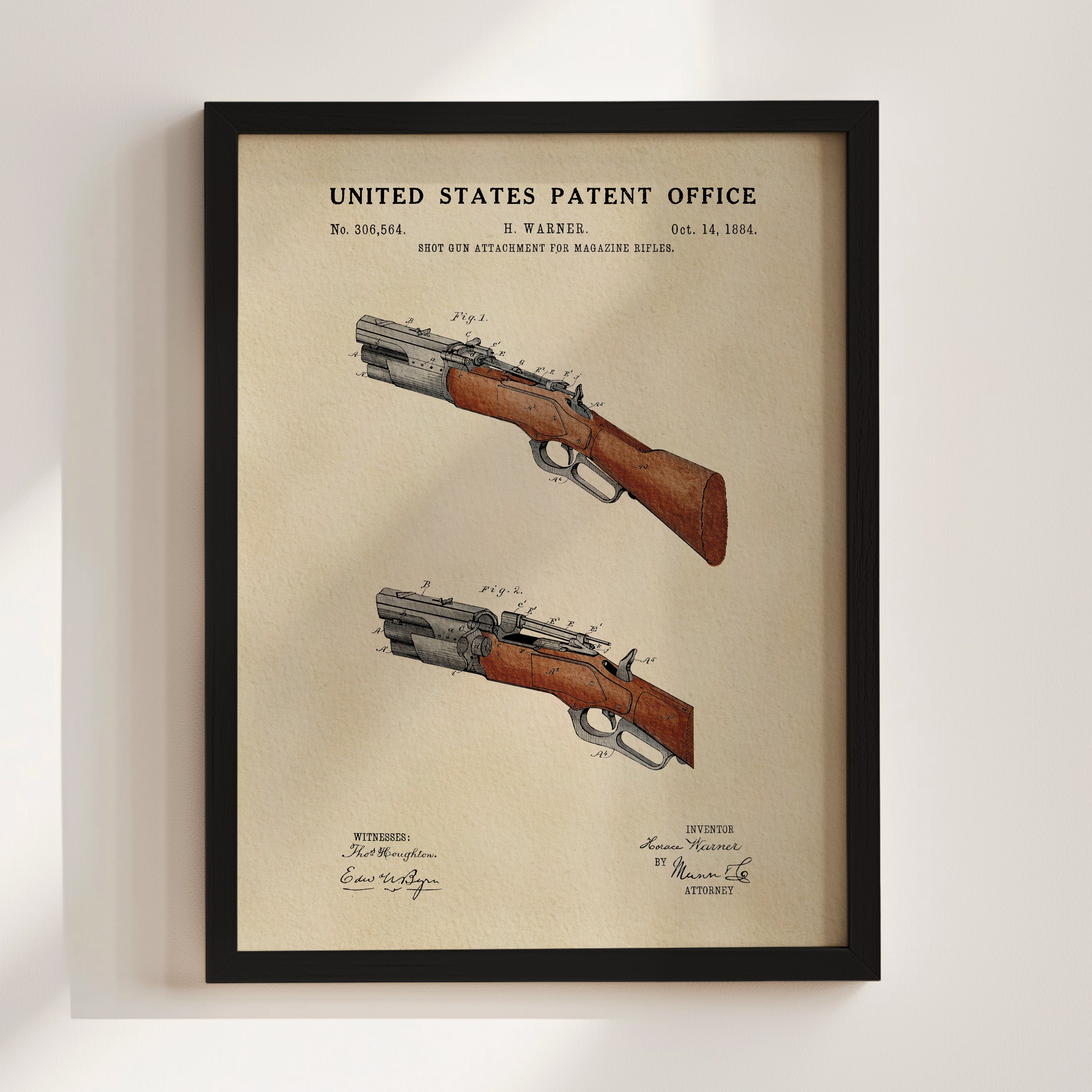 Shotgun (1884)