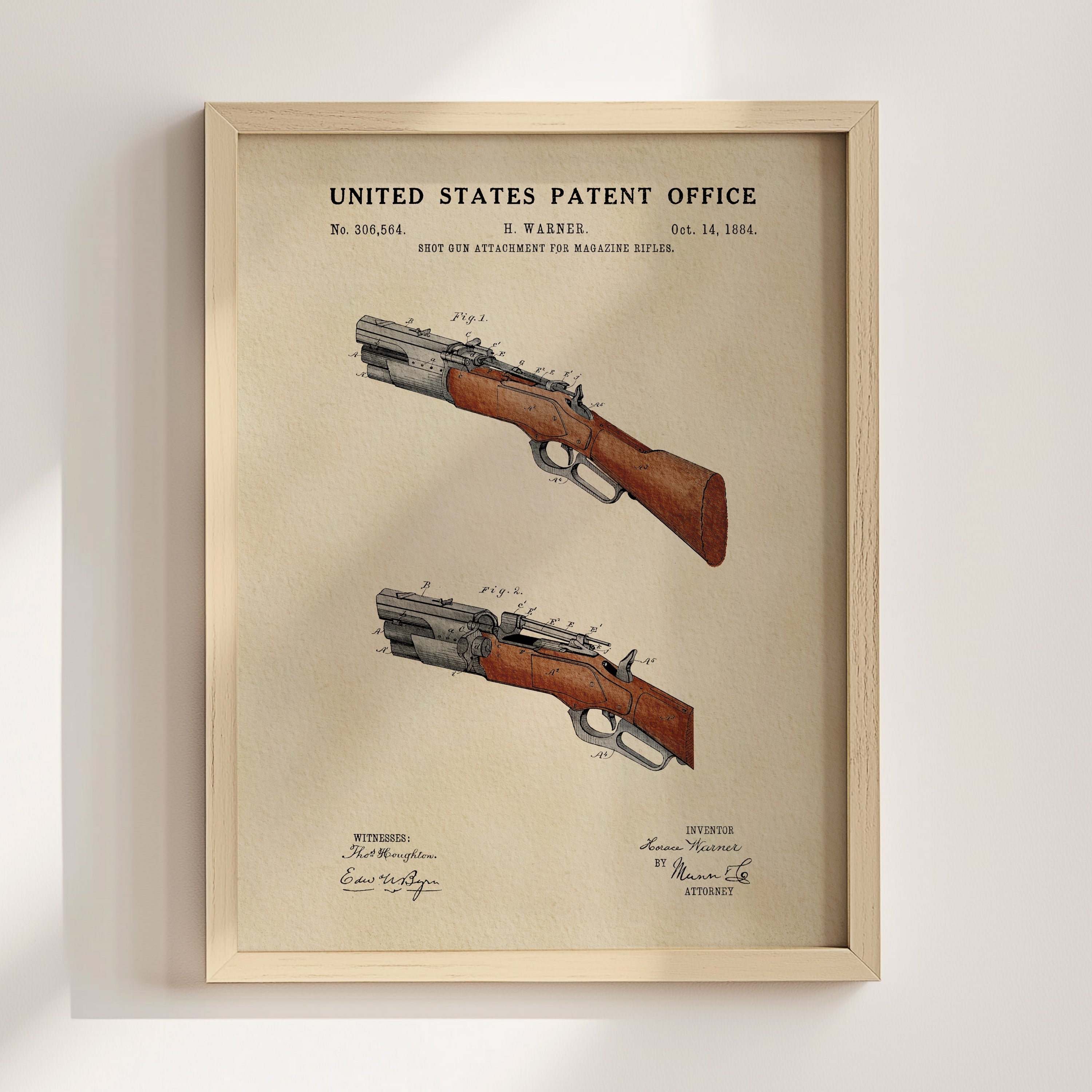 Shotgun (1884)
