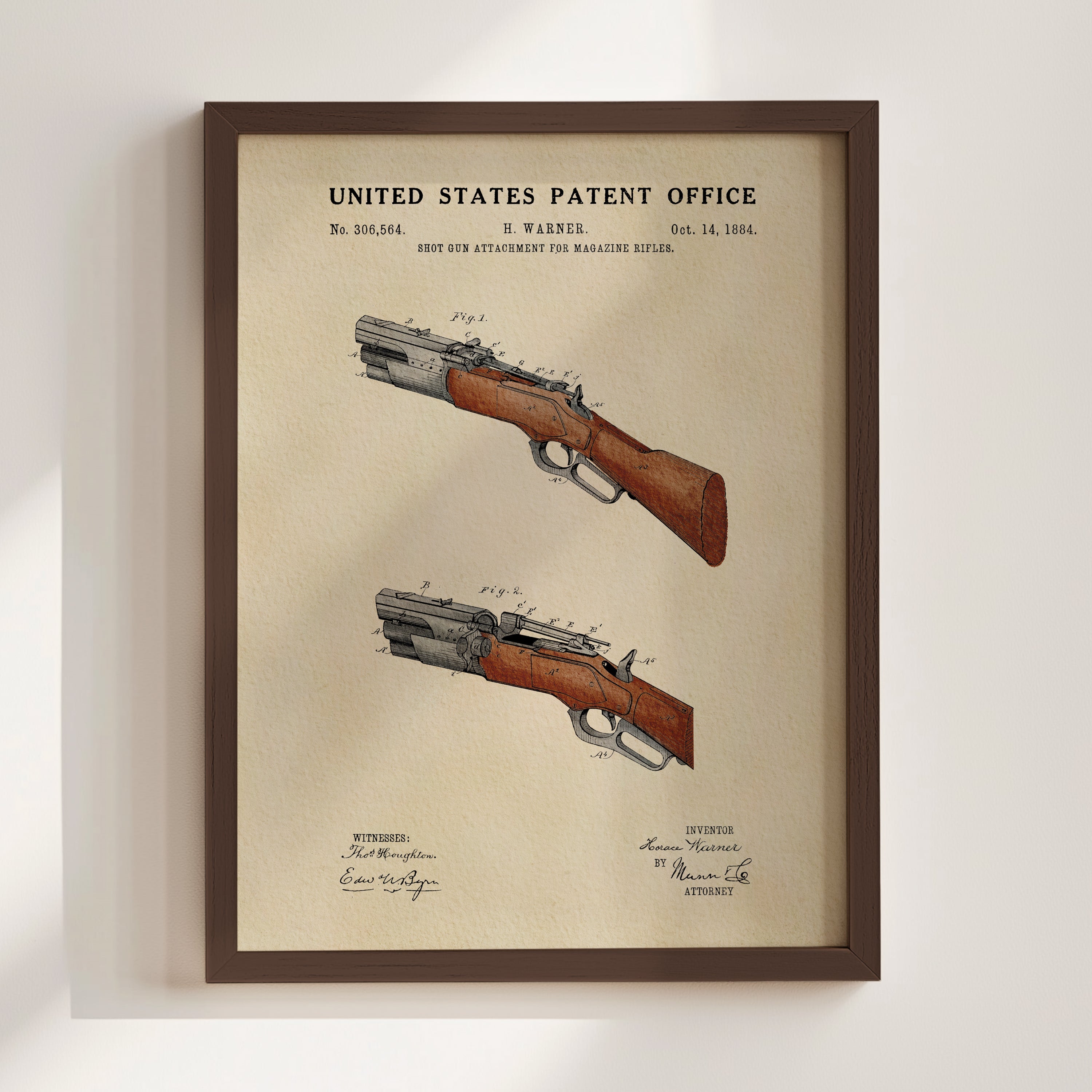 Shotgun (1884)