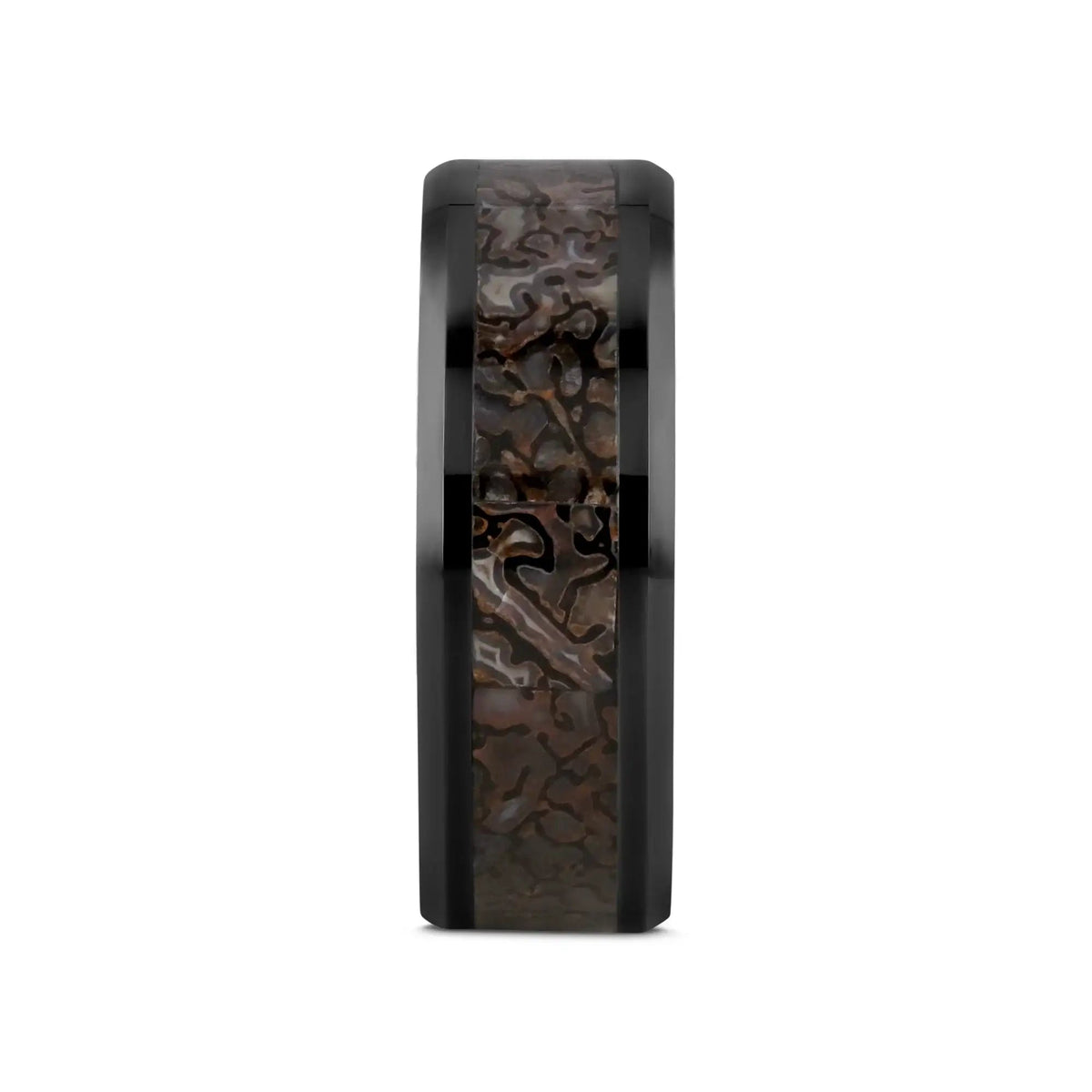 SILURIAN Dinosaur Bone Inlaid Black Ceramic Beveled Edged Ring - 4mm or 8mm