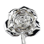 Timeless Rose (Silver)