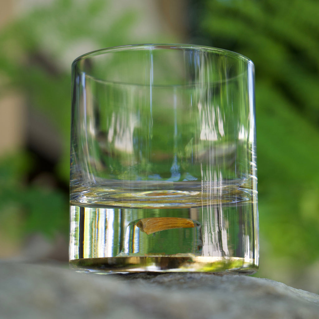 Dinosaur Tooth Tumbler (Series I) - Set of 2