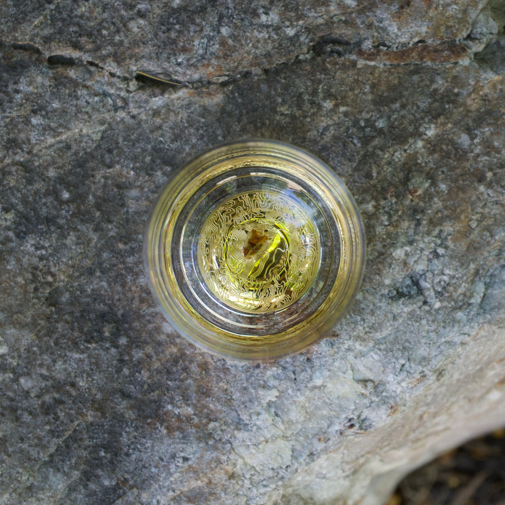 Dinosaur Tooth Tumbler (Series I) - Set of 2