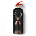 Stag