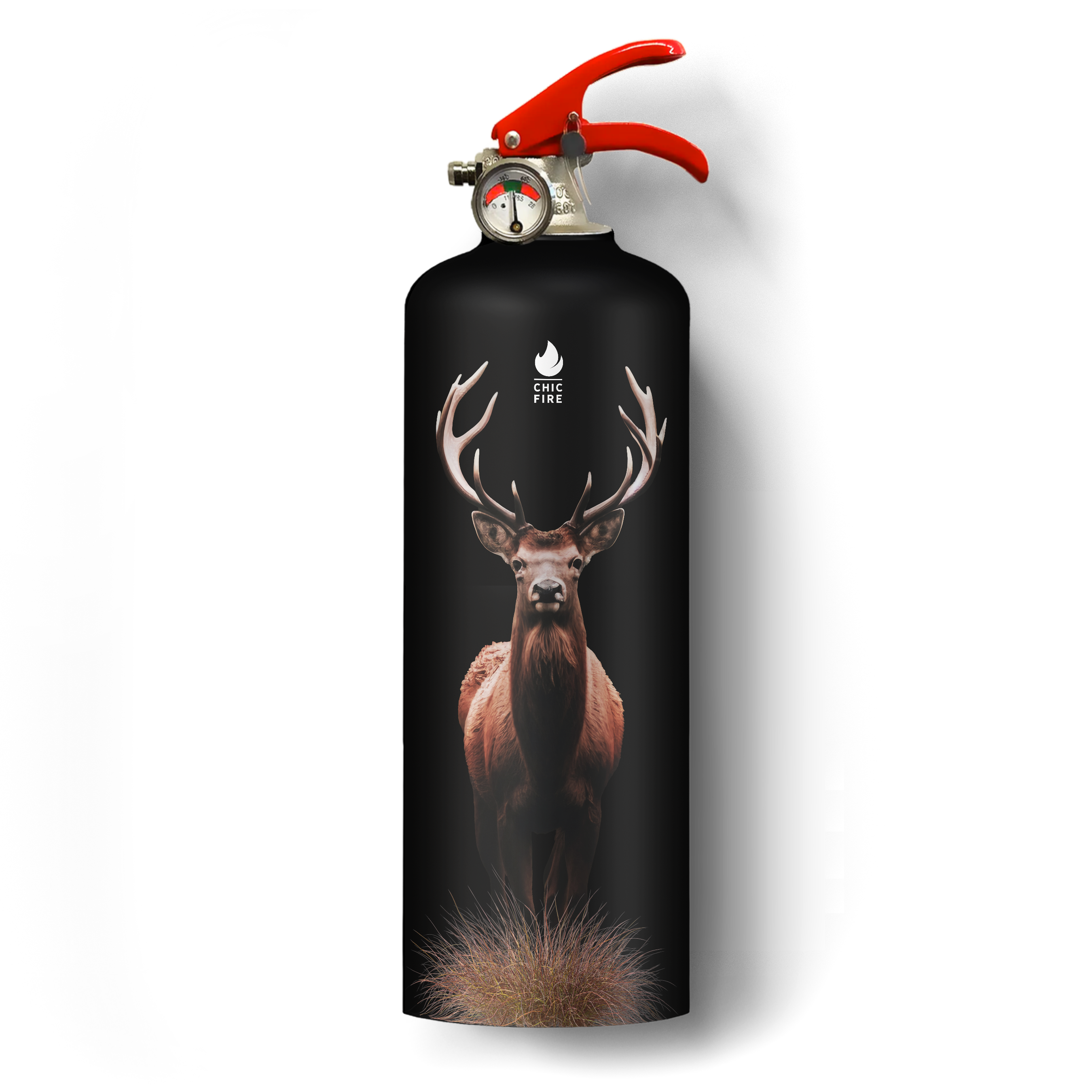 Stag