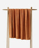Raw Sienna