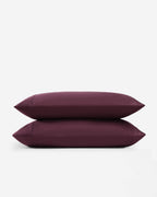 Premium Bamboo Viscose Pillowcase Set