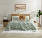 Snug + Bamboo Viscose Sham Set