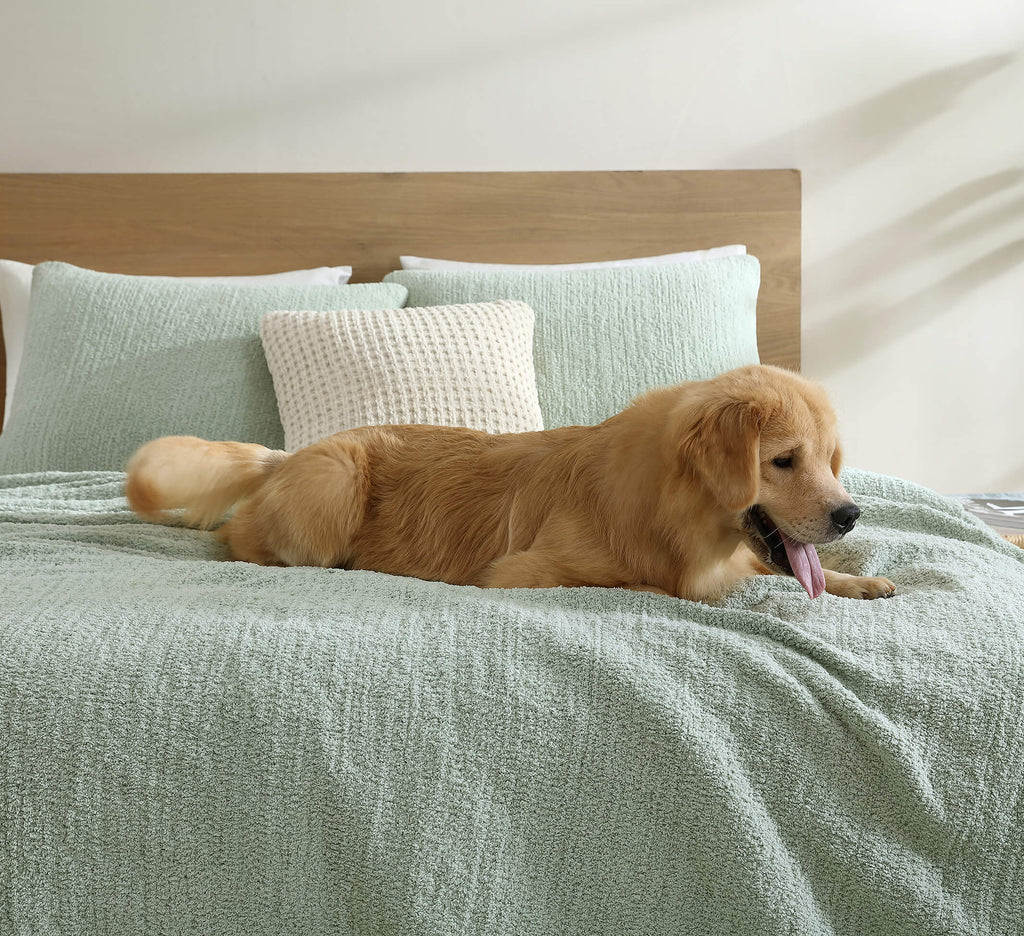 Snug + Bamboo Viscose Sham Set