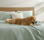 Snug + Bamboo Viscose Sham Set
