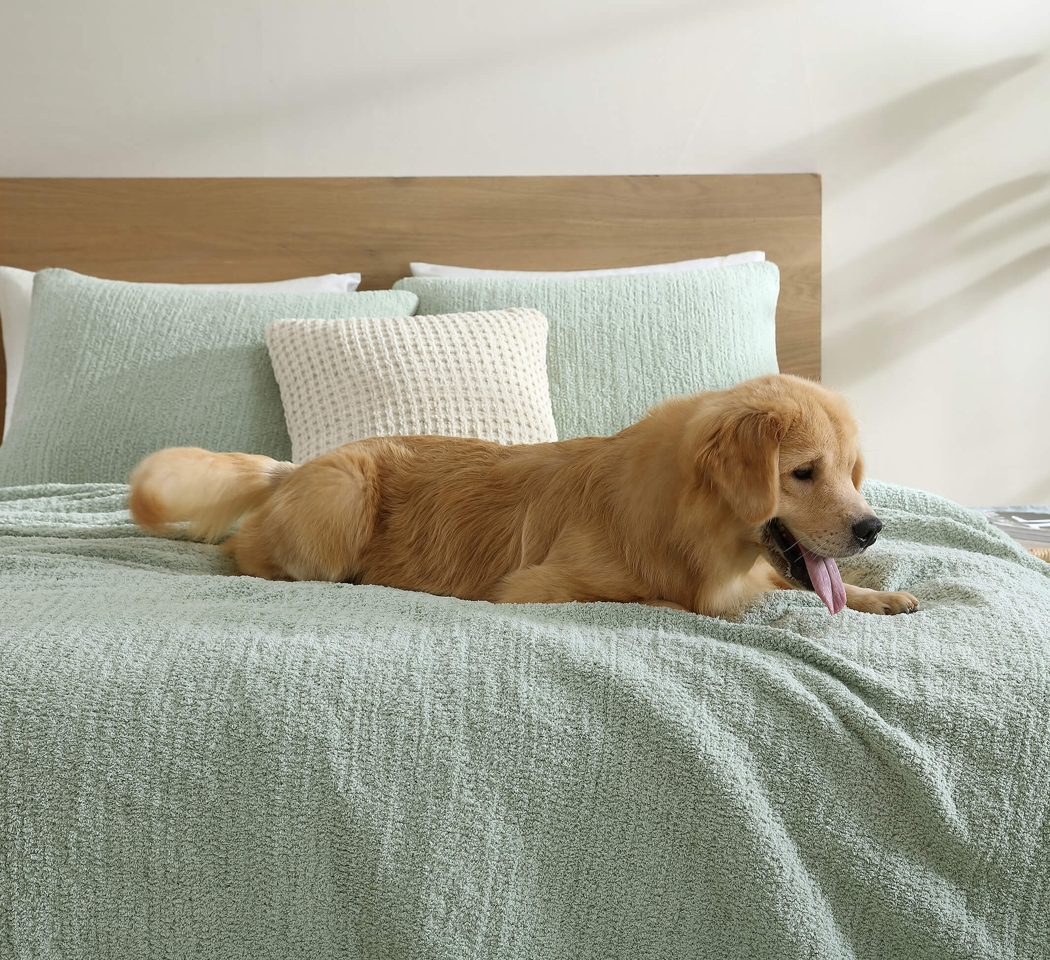 Snug + Bamboo Viscose Sham Set