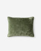 Olive Leaf