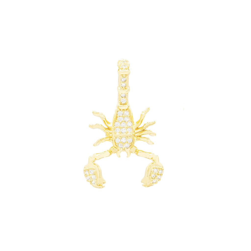 Scorpion Pendant 14K Anklet Gold Filled Cubic Zirconia Charm Rope Chain Set 10" WomenJewelry