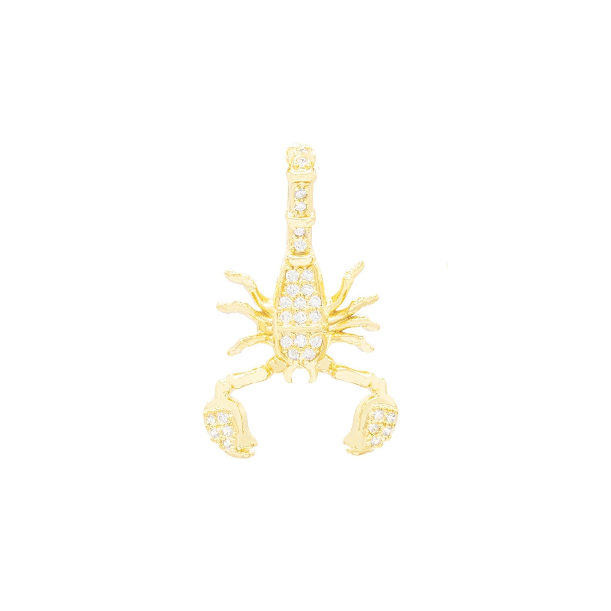 Scorpion Pendant 14K Anklet Gold Filled Cubic Zirconia Charm Rope Chain Set 10" WomenJewelry