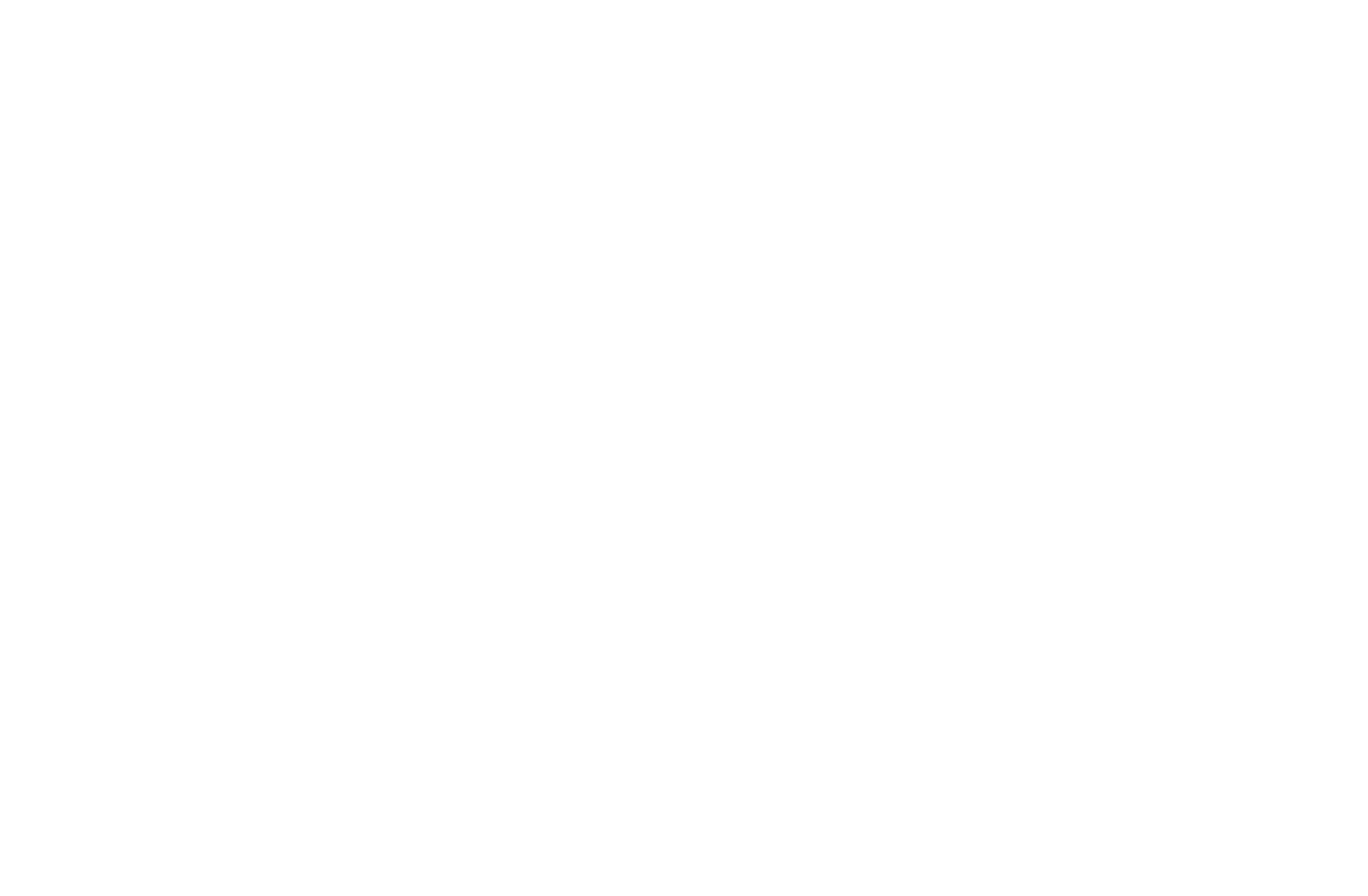TinyTV® DIY Kit