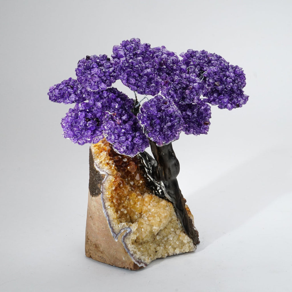 Genuine Amethyst Clustered Gemstone Tree on Citrine Matrix - The Empowerment Tree - (7 inches)