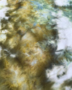 ICE DYED 90/10 SWEATSHIRT Tree Moss