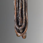 Ulvaxa