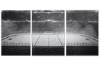 Hockey Rink 3-Pack Bundle