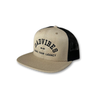 DadVibes FLAT Bill SnapBack