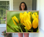 Wall Art Yellow Tulips Canvas Print