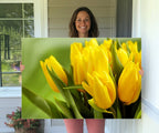 Wall Art Yellow Tulips Canvas Print