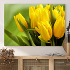 Wall Art Yellow Tulips Canvas Print