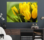 Wall Art Yellow Tulips Canvas Print