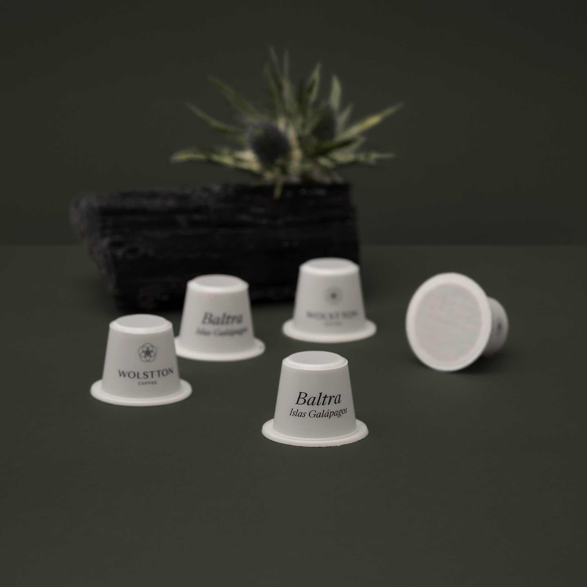 Wolstton Pods: Baltra (12x)