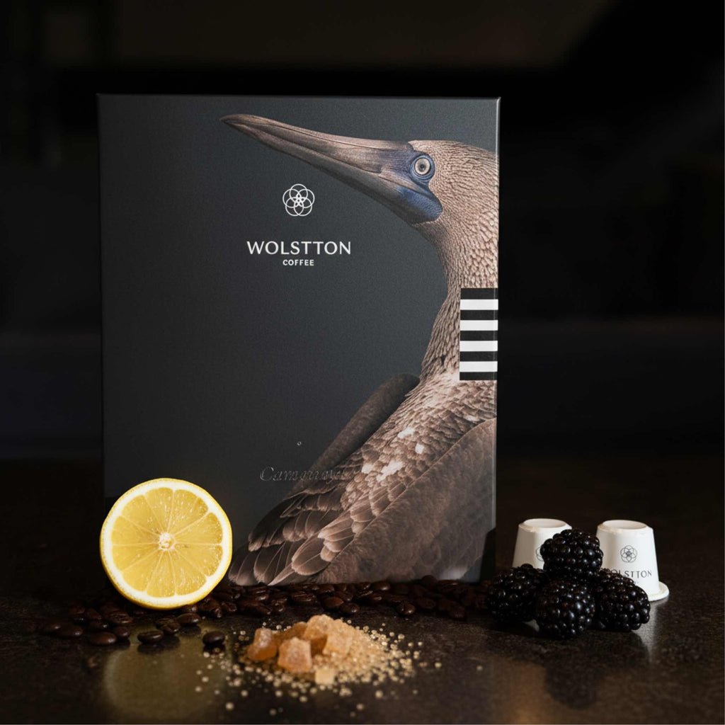 Wolstton Pods: Camanay (12)