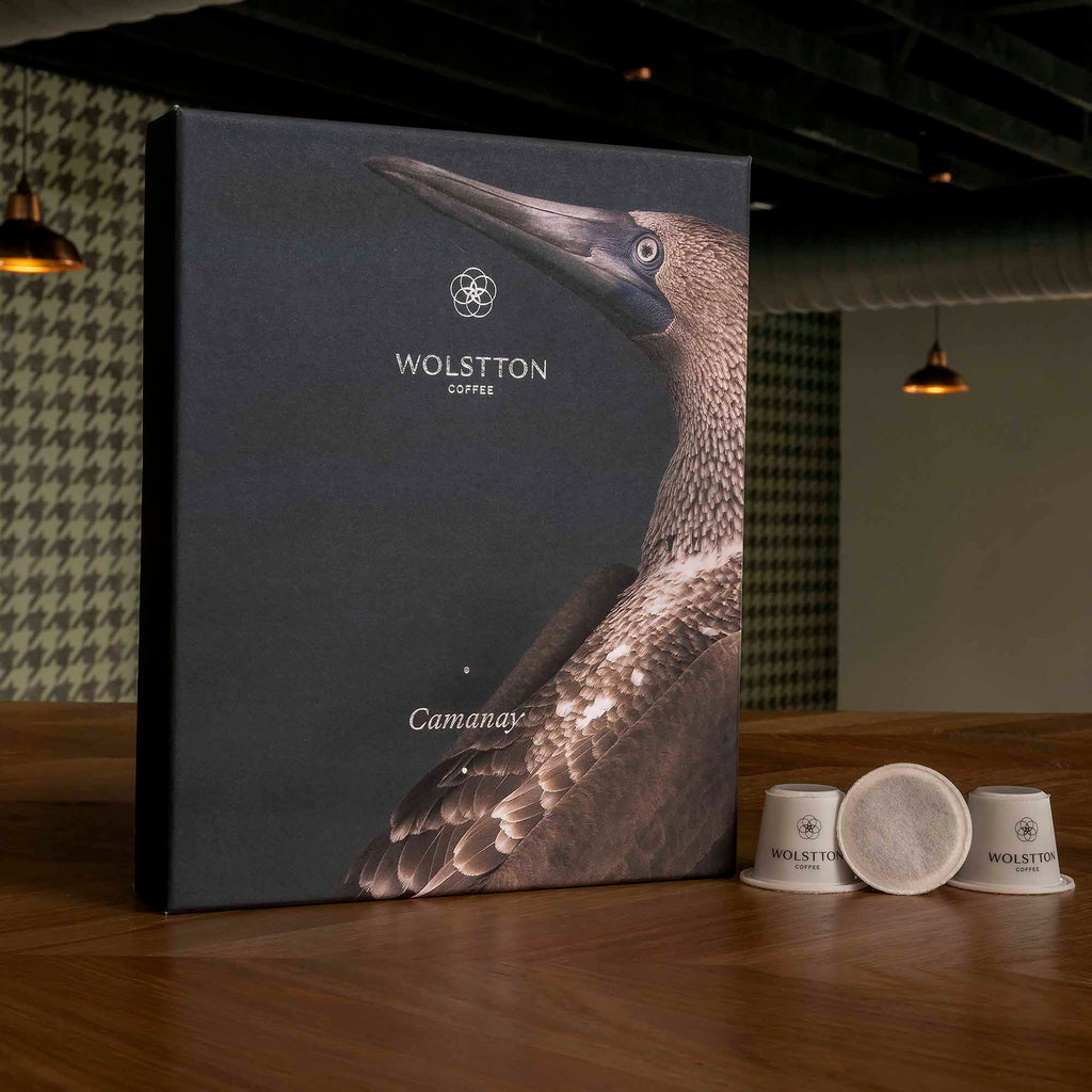 Wolstton Pods: Camanay (12)