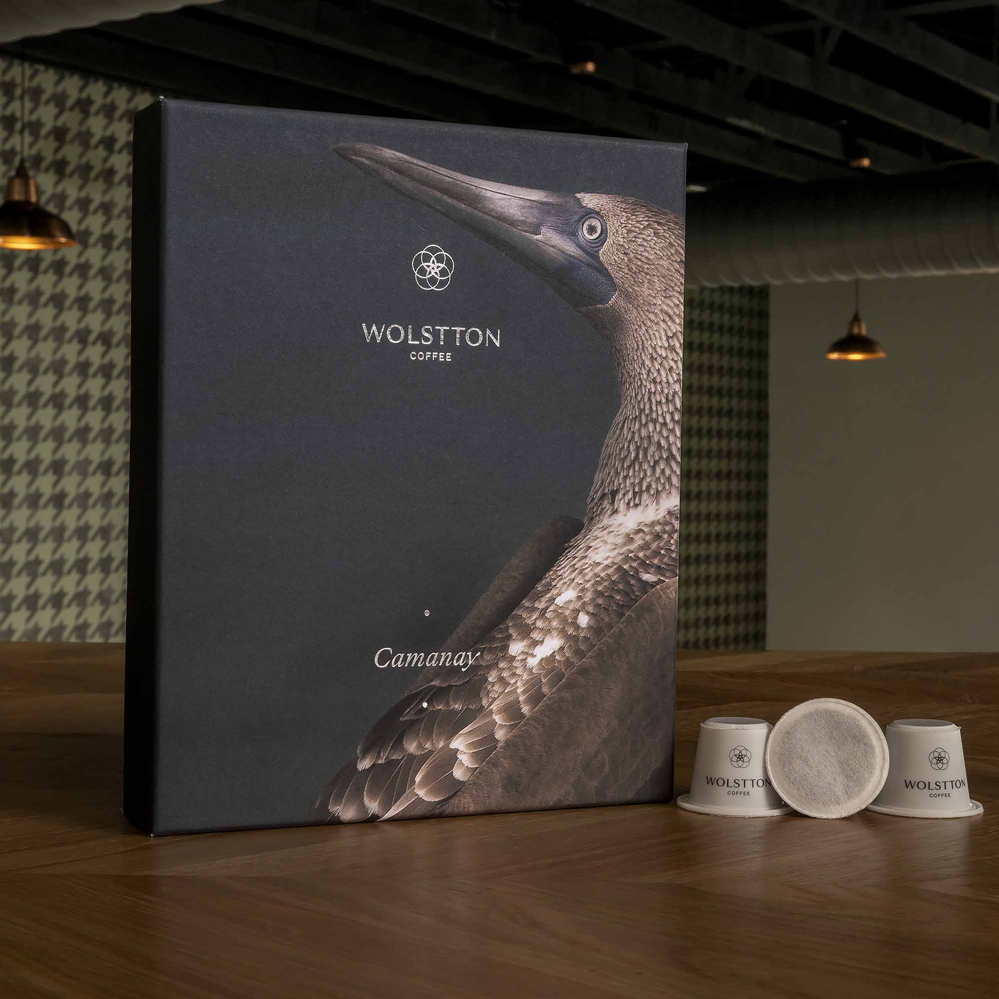 Wolstton Pods: Camanay (12)