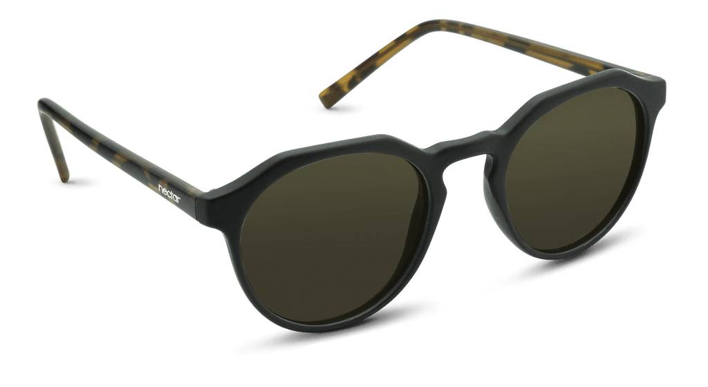 Wynwood Sunglasses