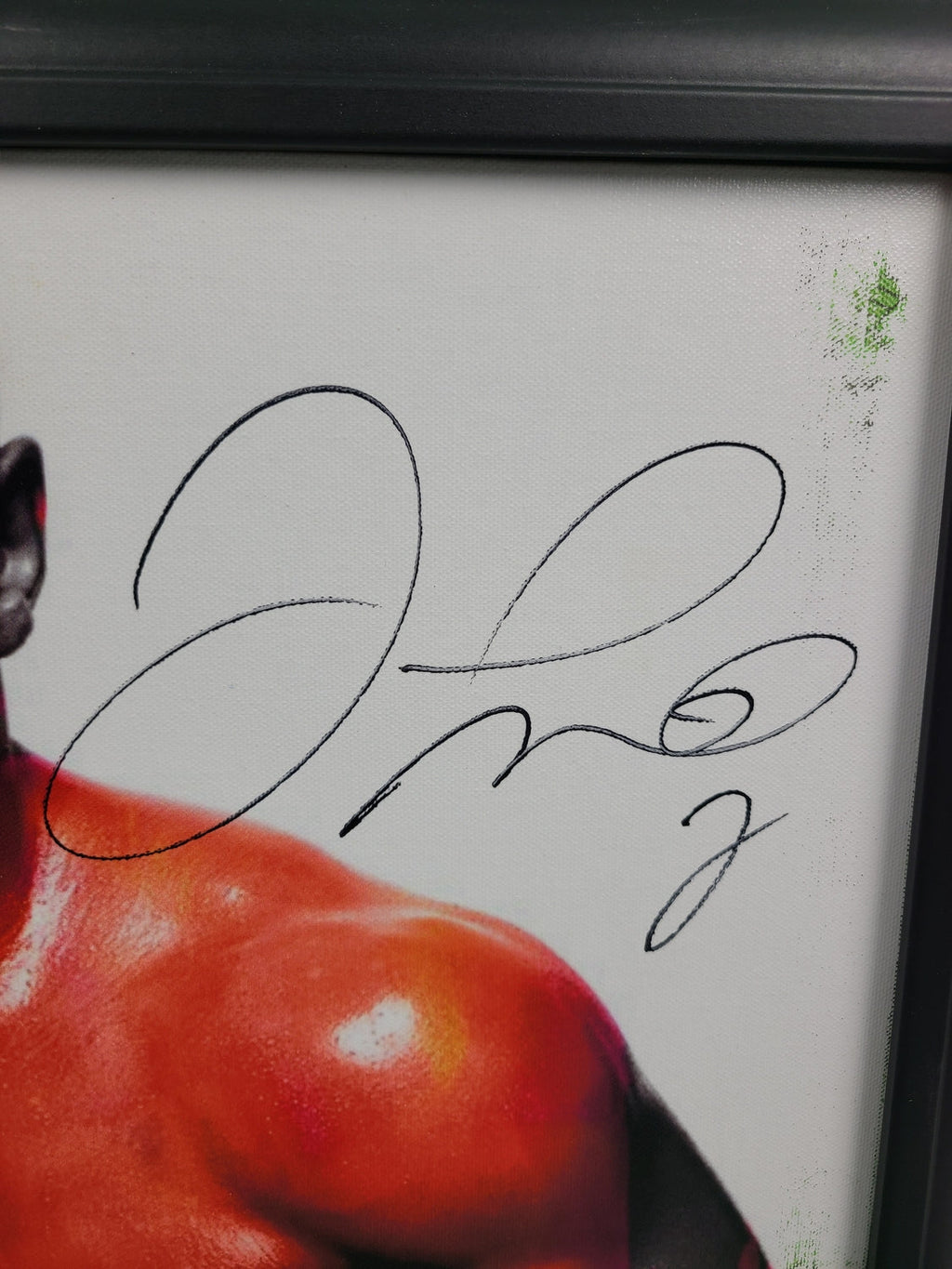 Floyd Money Mayweather Jr. Signed Painting Art Print Framed Canvas BAS