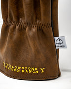 Yellowstone Driver Cover
