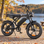Zypher™ Easy Rider