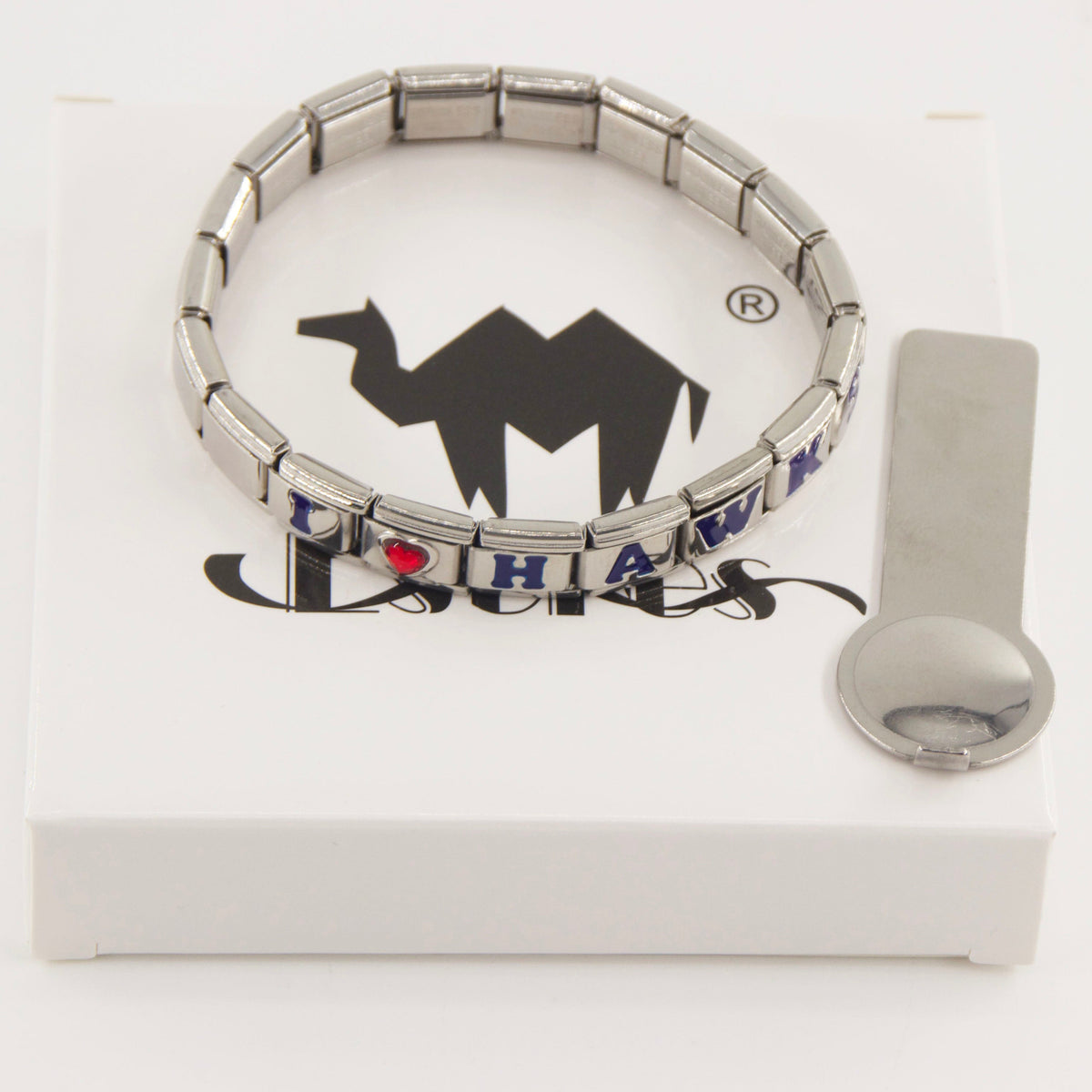 Seattle Seahawks Italian Charm Bracelet – Personalized Fan Gift for  for Birthdays, Holidays & Game Day