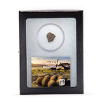 Dinosaur Eggshell