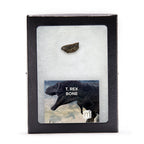 Tyrannosaurus Rex Bone