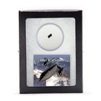 SR-71 Blackbird Fragment